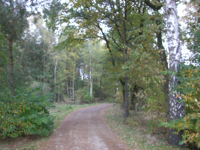 CTF Celle Strecke 039